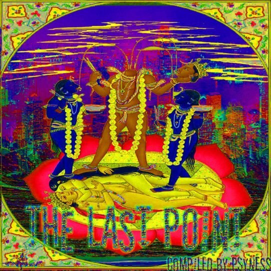 VA - The Last Point